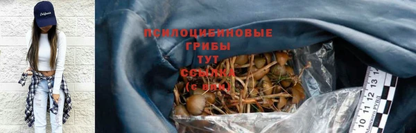 спиды Новозыбков