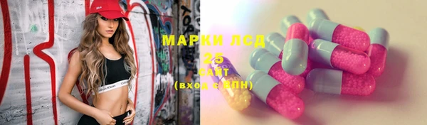 индика Нея