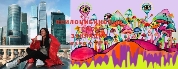 прущая мука Новодвинск