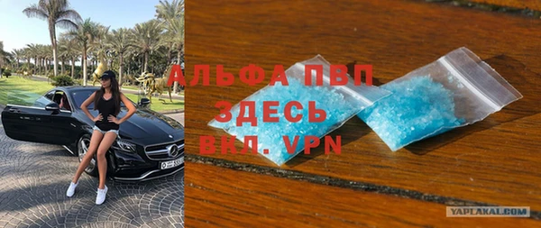 спиды Новозыбков
