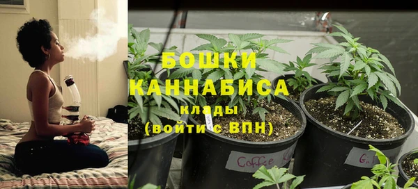 спиды Новозыбков