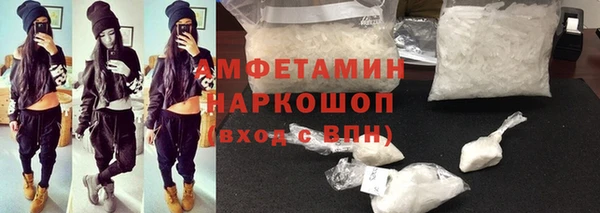 индика Нея