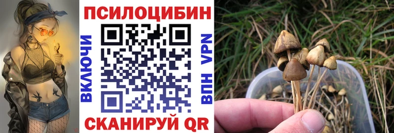 Галлюциногенные грибы Magic Shrooms  darknet Telegram  Орлов  как найти закладки 